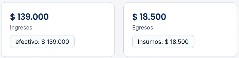 Caja del día de una sucursal: ingresos y egresos con su detalle